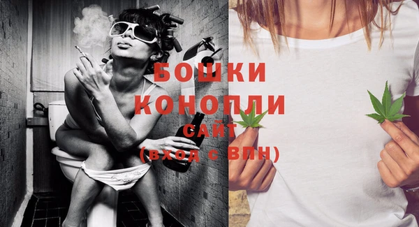 шишки Лабытнанги