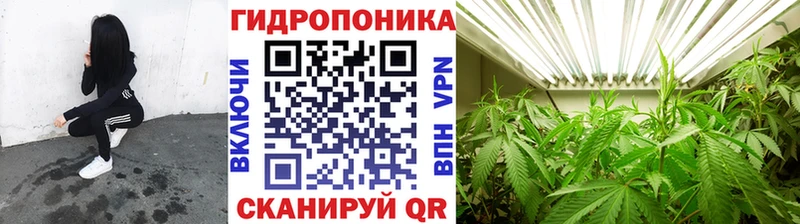 кракен tor это формула Марихуана сатива Балаково